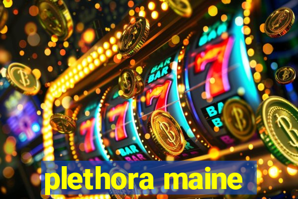 plethora maine